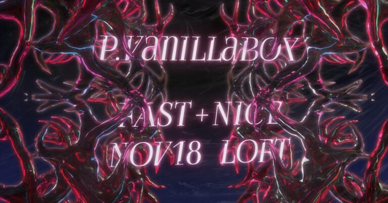 18.11. fast + nice wp.vanillaboy